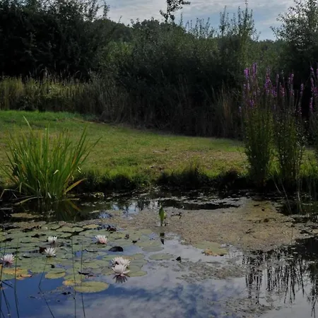 Le Bizet Vacation Home , Cleaning Included Holiday home Le Bizet
